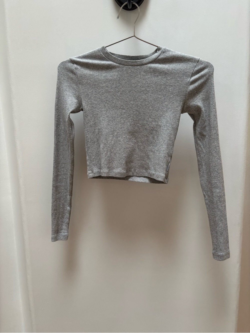 Aritzia Grey Long-Sleeve Cropped Top